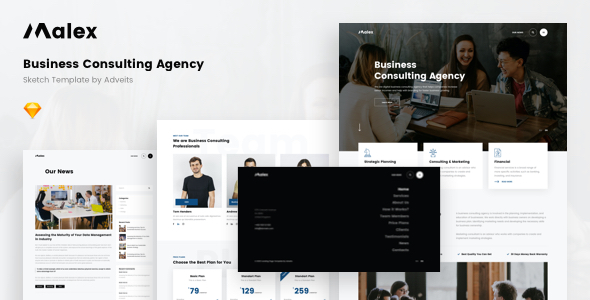 Malex – Business Consulting Agency Sketch Template